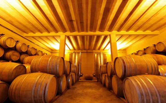Picturesque Winery and Bed and Breakfast in south of France