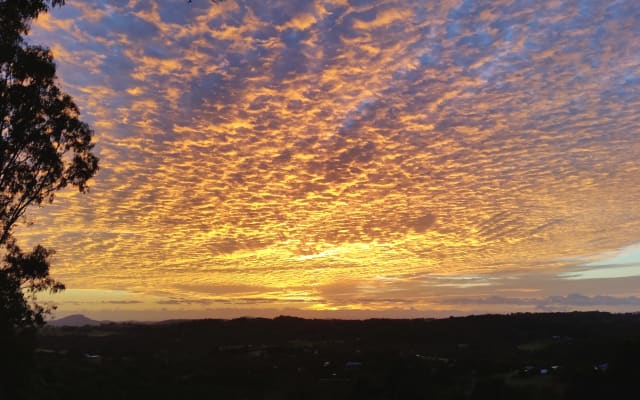 Sunshine Coast Hinterland with ocean glimpses - Picture 8