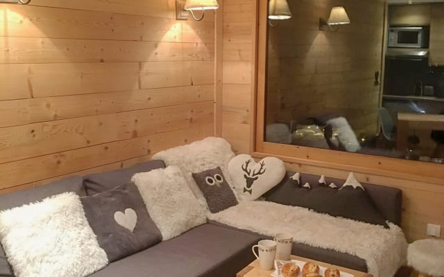 SKI IN/SKI OUT ! Appartement 2 chambres, 3*, belle vue, WIFI