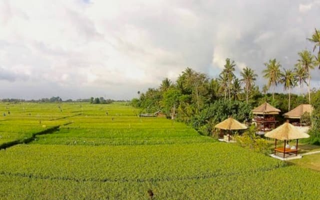 ¡Eat Pray and Love nuestra casa de Bali ! - Foto 16