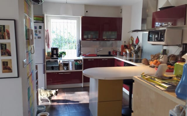 Nice room in a flat near the Celleneuve tram station -West Montpellier