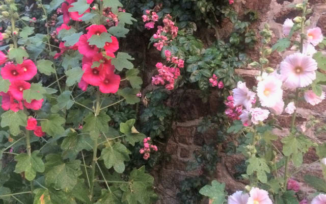 Authentischer Wohnsitz aus dem 16. Jahrhundert in Bécherel - Foto 16