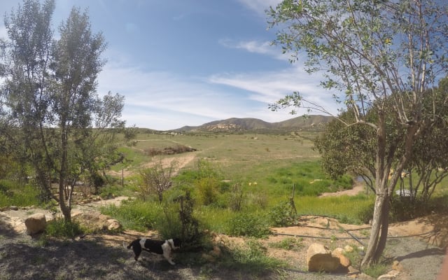 Vinophiliac BnB CABERNET SUITE Valle de Guadalupe