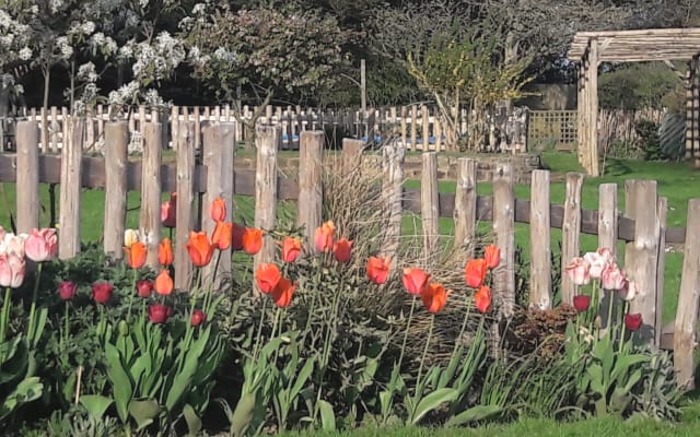 Rural Retreat in the “1066 Country" of Southern England - Picture 16