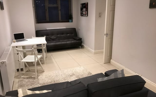 1 bedroom apartment in Clapham (sofa bed in living room)