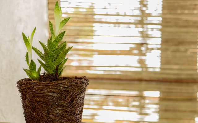 Loft-Terrasse #AgradoGuestHouse