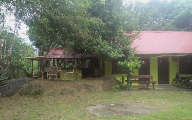 Maison holistique Dans la nature