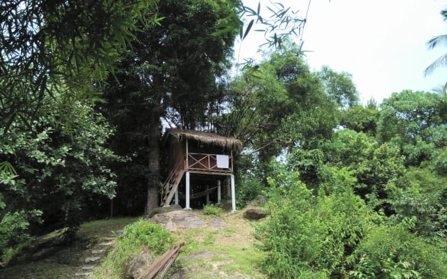 Maison holistique Dans la nature