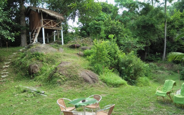 Maison holistique Dans la nature