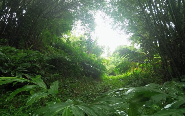 Maison holistique Dans la nature