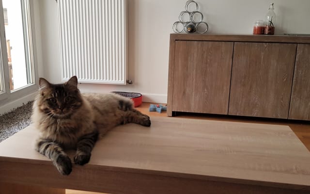 Samuels Inserat auf misterb&b - Salon 