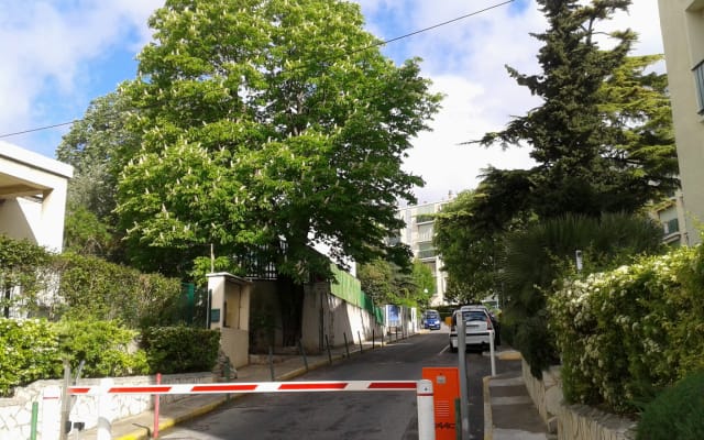 ruhige Wohnung kostenloses Parken