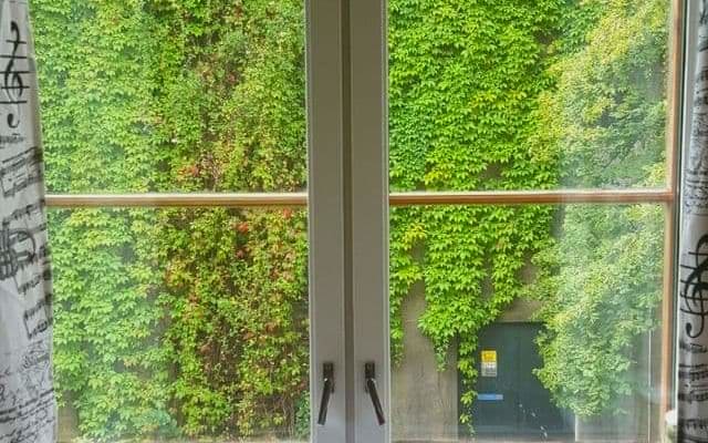 Chambre à louer dans le centre d'Oslo - Photo 7