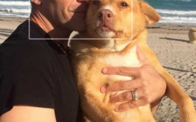 Sans Souci Hippie love and peace - Picture 11