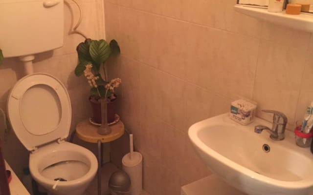 Garden studio apartment in south tlv - Picture 6