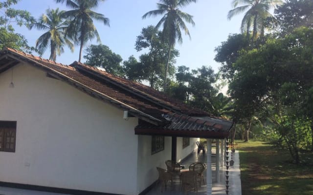 Serendipity (Weligama) - Tranquillité dans le sud du Sri Lanka - Photo 20