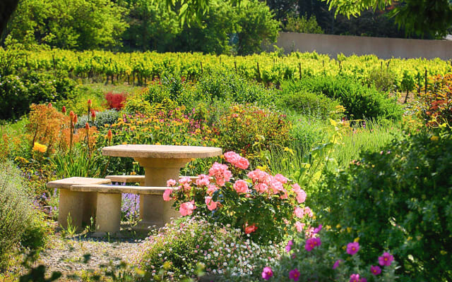 Charming guest rooms overlooking the vines