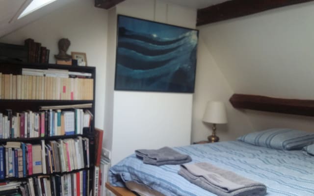 Gemütliches Zimmer in einem charmanten Appartement im Quartier Montorgueil im Zentrum von Paris - Foto 19