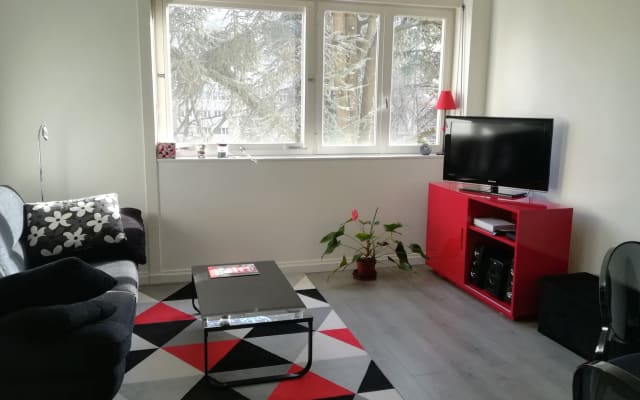 Large room in bright apartment. - Picture 8