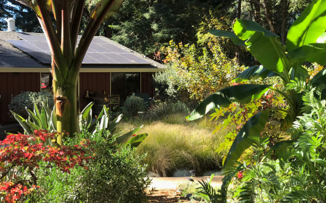 Chillax nel ritiro rurale della contea di Sonoma