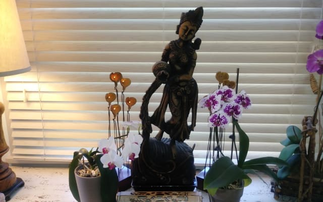 Share Sacred Space with a Tantric Yogi in Cozy Om Home - Picture 6