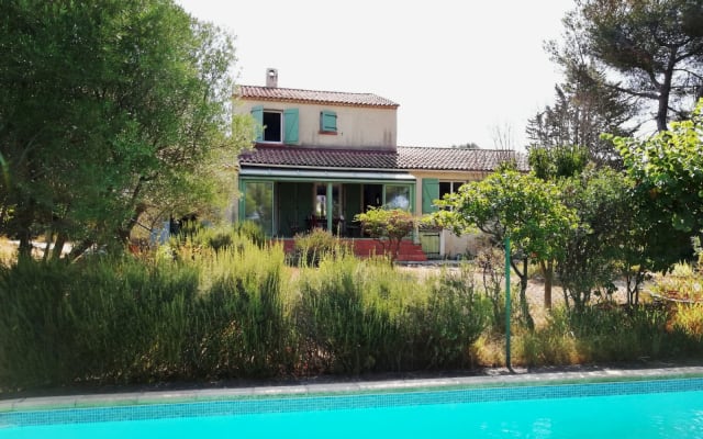 Between city, culture and beach - with olive trees