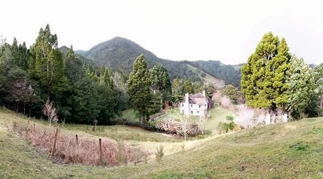 Le domaine d'Onetai est situé dans le bush natif de Nouvelle-Zélande...