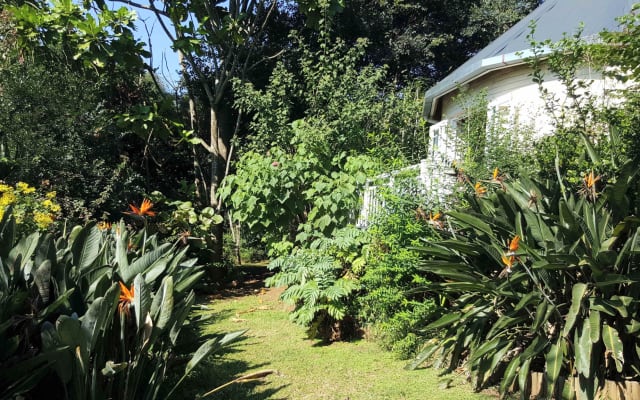 Jardins de Strelitzia