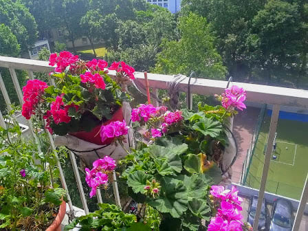 Partilhar um quarto num apartamento de nudistas / partage chambre...