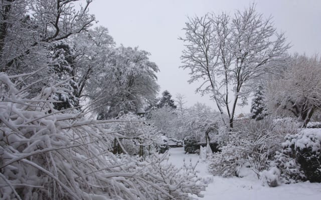 Maison de charme et beau jardin en Champagne