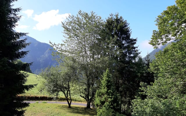 Apartamento de estilo em chalé, Val d'Abondance-Portes du Soleil/2