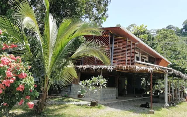 Casa cheia no Orgánico Punta Riel