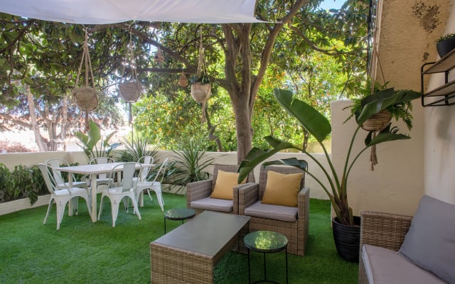 Tree Liverpool Terrace