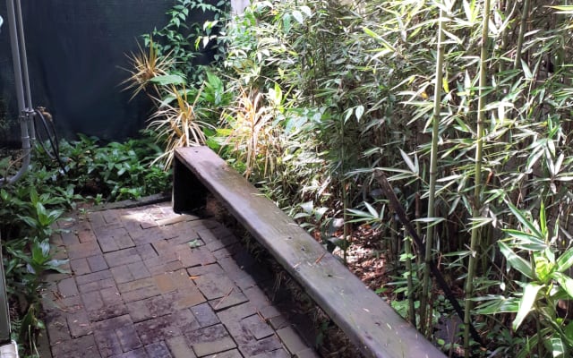 Cabina in un giardino tropicale - Foto 8
