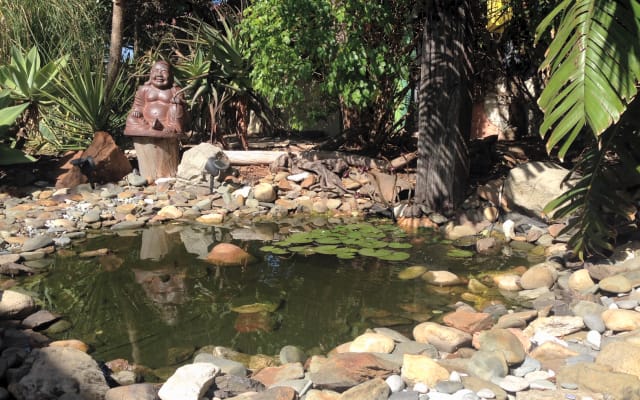 Ocean Blue Guest House Close To The Beach Cape Town South Africa  - Picture 9