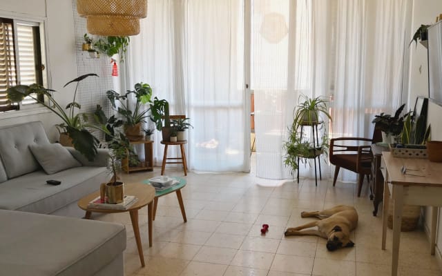 La casa de las plantas en el corazón de Tel Aviv - habitación privada