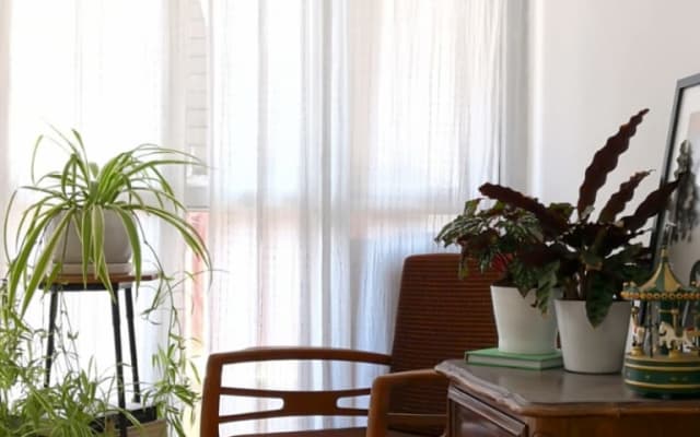 La casa de las plantas en el corazón de Tel Aviv - habitación privada