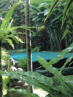 Das Paradies: Gartenhaus in einem üppigen tropischen ummauerten Garten 