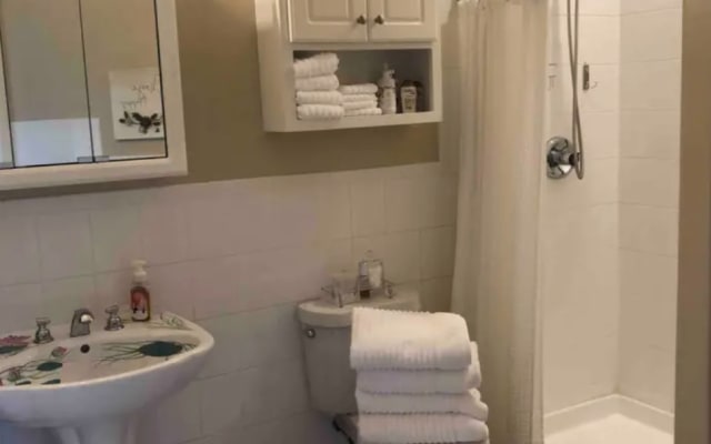 Gorgeous Victorian with Private Rooms for Rent - Picture 9