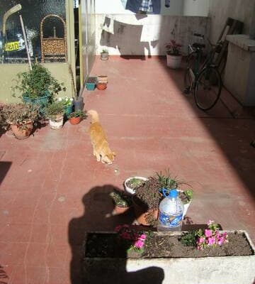 Vintage Apartment in the Heart of Palermo, Buenos Aires