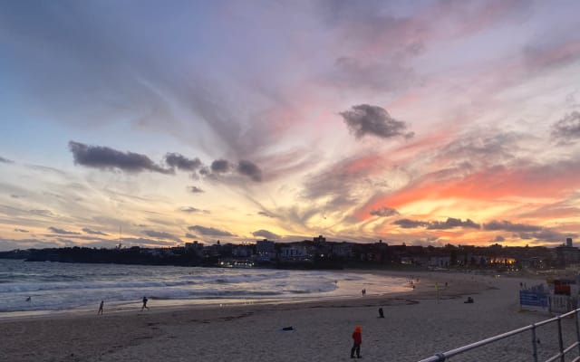 Sunny private room in naturist/nudist shared Bondi apartment  - Picture 12