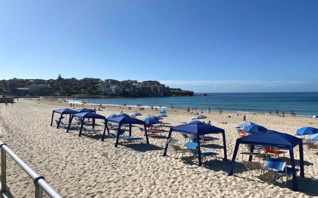 Sunny private room in naturist/nudist shared Bondi apartment  - Picture 11