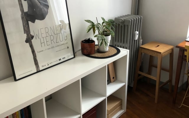 Grande chambre dans un bel appartement - Lyon 7