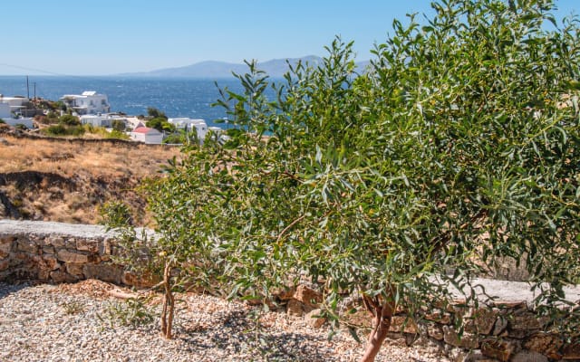 Lilly's Seaview apartment - Excelente localização sobre a cidade de Mykonos - Foto 10