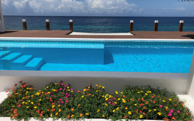 Private pool at Beach House in historic culinary Pietermaai Curacao. - Picture 14