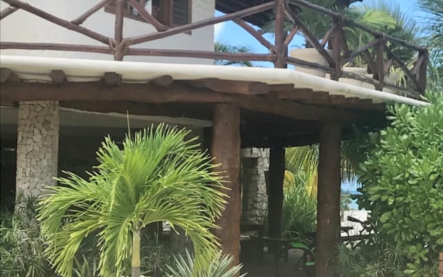 KAPLUMBAGA HOLBOX