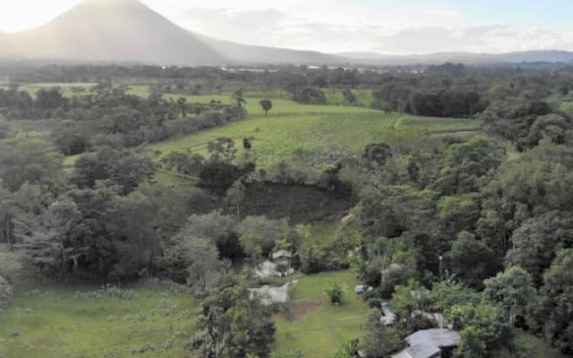 Cabanas La Plantacion