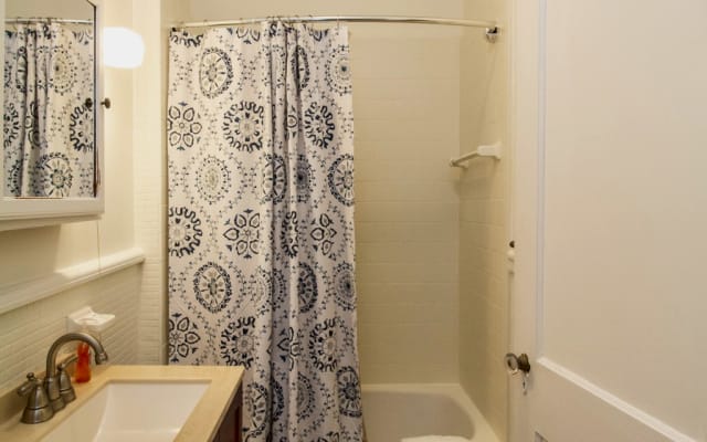 Furnished First-Floor Studio in Coolidge Corner - Picture 10