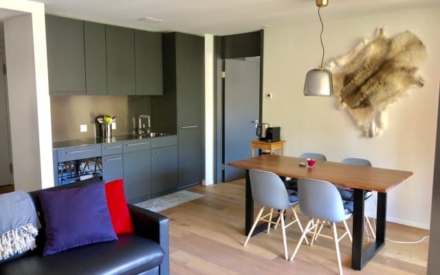 Bellissimo appartamento nuovo e soleggiato con 1 letto (2,5Zim). Sci...