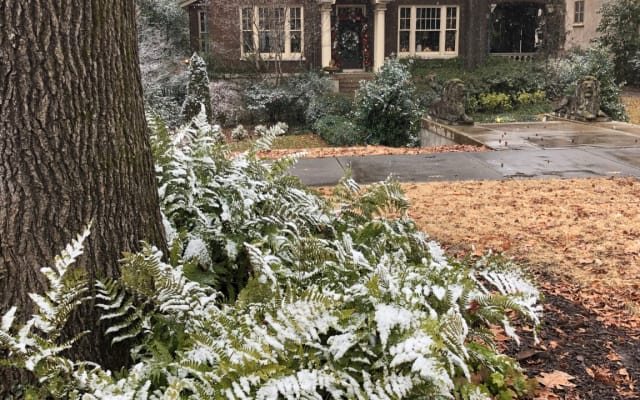 Lions Rest - appartamento privato per gli ospiti con giardino - Foto 10